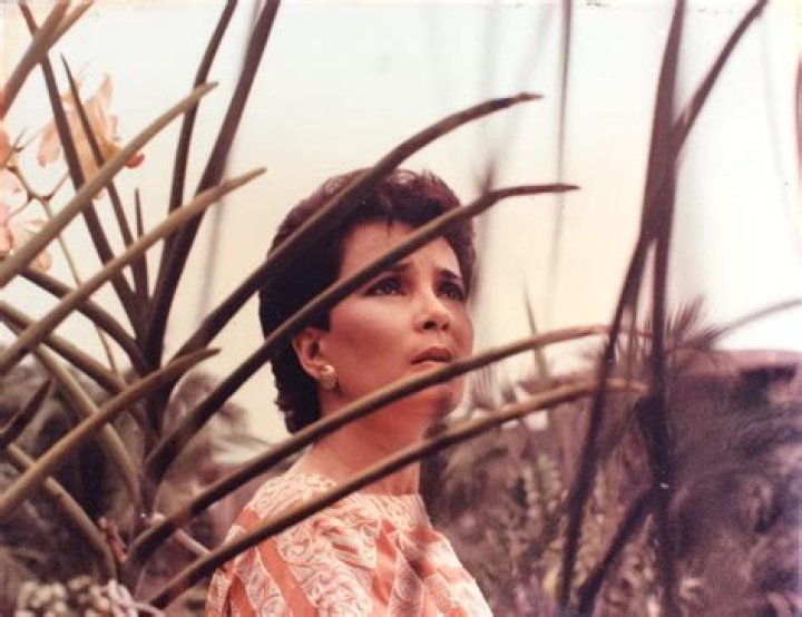 Amalia Fuentes biografía, edad, altura, esposa, net worth, familia