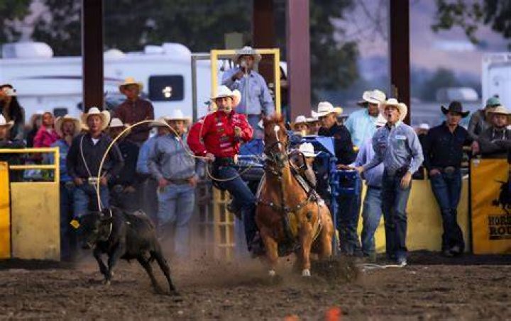 Nathan Lee Chasing His Horse biografía, edad, altura, esposo, net worth, familia